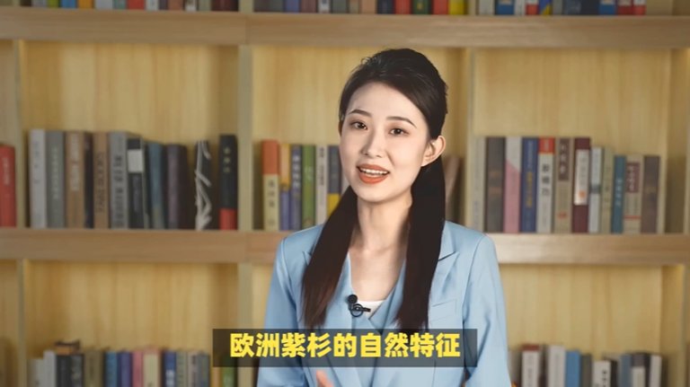 IAWA 中国:第三届木材显微镜竞赛展览