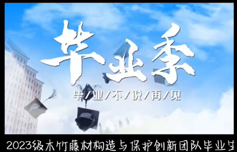 IAWA 中国