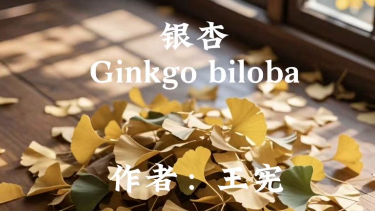 第三届木材显微镜竞赛展览