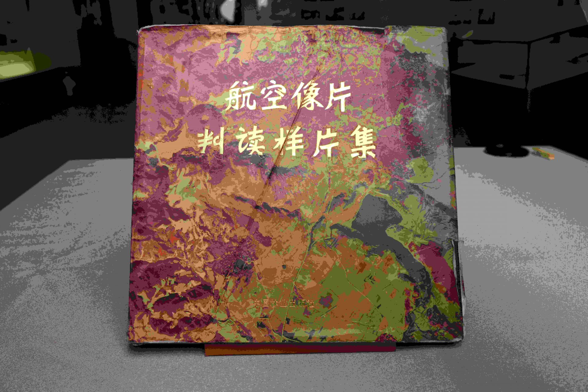校开云在线官网书记李永勤