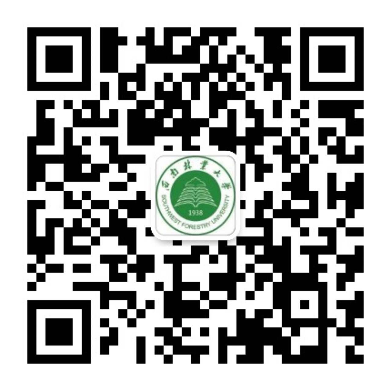 开云在线官网最新优惠官微