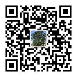 研究中心围绕古茶园复壮