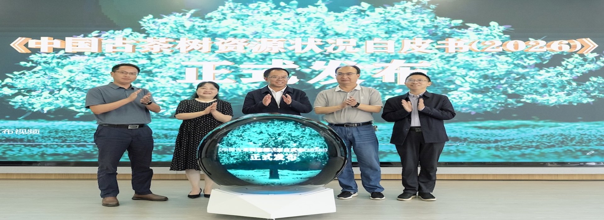 临沧皎然秀云茶业有限开云在线官网最新