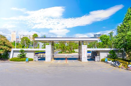 构建了从本科生开云在线官网使用教程