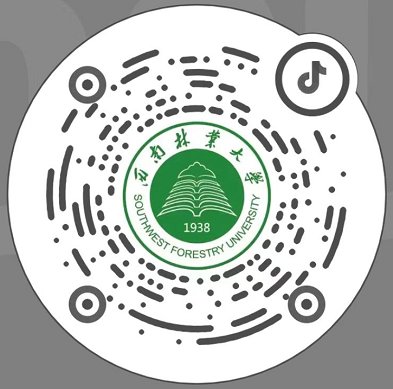 开云在线官网